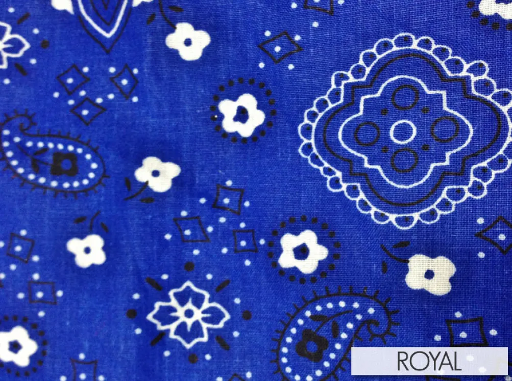Bandana Print