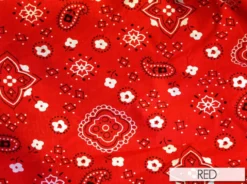 Bandana Print