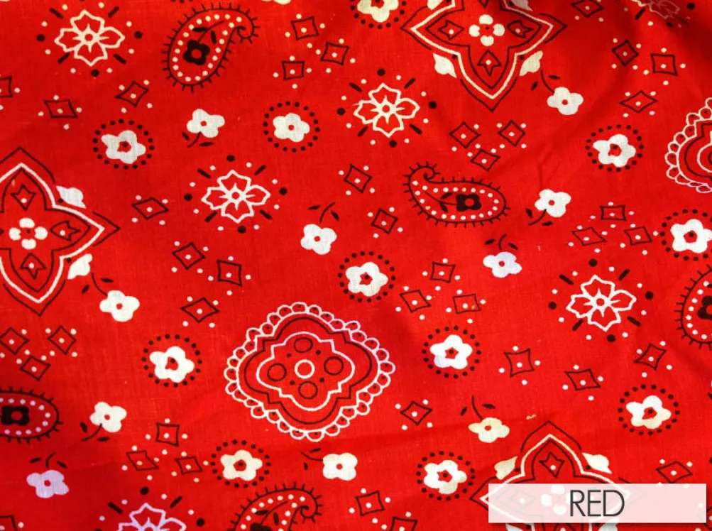 Bandana Print