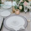 Eclipse - Glass Charger Plate in Silver (Item # 0309-R)
