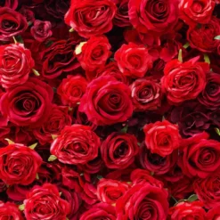 Flower Wall - Stacie