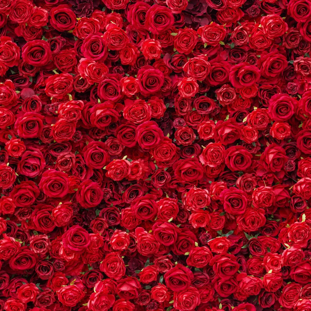 Flower Wall - Stacie