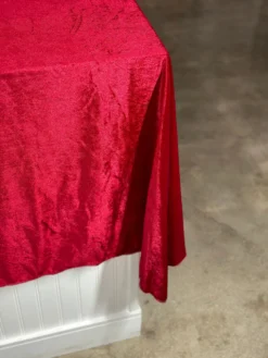 Lush Velvet Table Linen in Wine