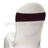 Premium Spandex Chair Band in Raisin 21