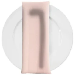 Scuba (Wrinkle-Free) Table Napkin in Pink Salmon 1720
