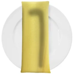 Scuba (Wrinkle-Free) Table Napkin in Spa Sorbet 1215