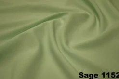 Shirred Pleat Stage Skirt